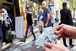 نرخ ارز در بازار آزاد دوشنبه 6 مهر ۱۴۰۵/ جدول