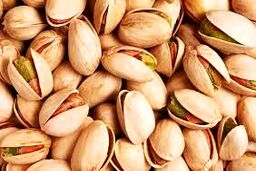 قطع اینترنت حتی بر قیمت‌ پسته وصادرات آن هم اثر گذاشته است