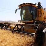  بیچاره کشاورز،پول گندم خوردن ندارد / اگر قسط وام را دیر بدهیم چقدر جریمه می‌شویم؟