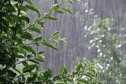 مشکل خشکسالی در کدام استان‌ها حل شد؟