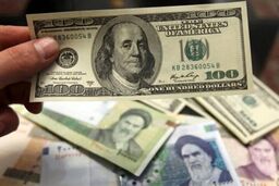  دلار ۲۳۱ هزار تومان قیمت خورد/ جدول