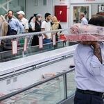 قیمت دام‌زنده امروز ۲۹ مهر ۱۴۰۵/ گاومیش کیلویی ۶۰۰ هزار تومان قیمت خورد
