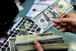  دلار به ریزش قیمت ادامه داد/ جدول