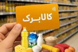 مجری طرح کالابرگ: تصمیم‌گیری درباره افزایش رقم کالابرگ هنوز نهایی نشده است