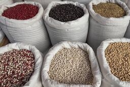  لوبیا قرمز قلمی گران‌تر از سایر حبوبات