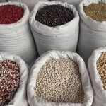  لوبیا قرمز قلمی گران‌تر از سایر حبوبات