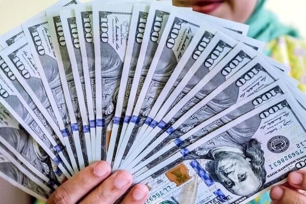  دلار به کانال جدید قیمتی رسید/ جدول