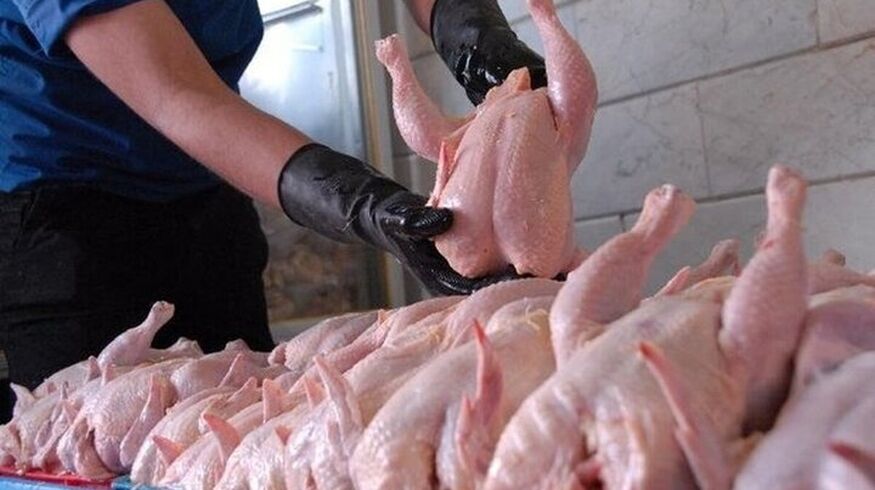 قیمت واقعی هر کیلو مرغ رسما اعلام شد