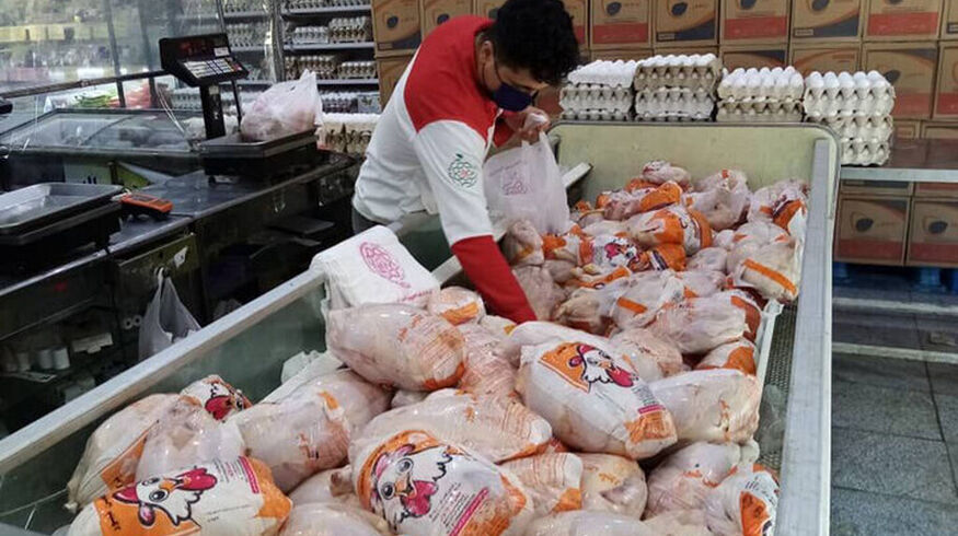   مرغ زنده را کمتر از این رقم نفروشید