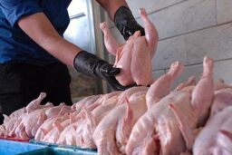 زنگ خطر در بازار مرغ / قیمت جدید گوشت مرغ گرم اعلام شد