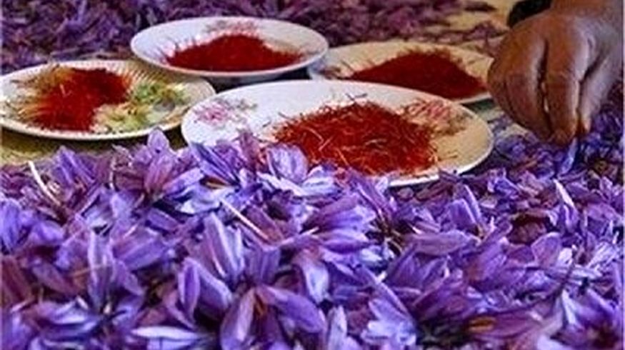 قیمت جدید زعفران اعلام شد/ زعفران کیلویی چند؟