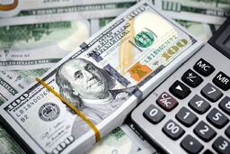 قیمت دلار، یورو و درهم امروز ۱ بهمن