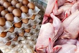 سقوط آزاد مصرف مرغ و تخم‌مرغ در کشور