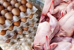 سقوط آزاد مصرف مرغ و تخم‌مرغ در کشور