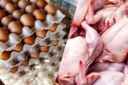 سقوط آزاد مصرف مرغ و تخم‌مرغ در کشور