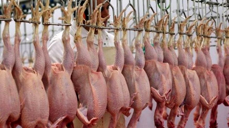 مرغ کمی ارزان شد