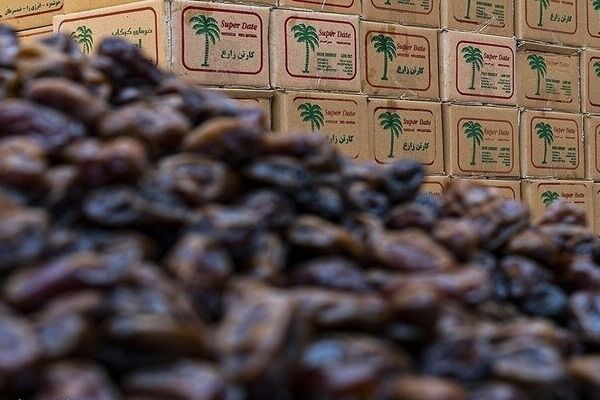 یک اتفاق مهم در بازار خرما / قیمت هر کیلو خرما چقدر شد؟