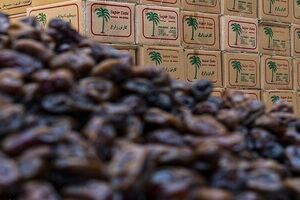 یک اتفاق مهم در بازار خرما / قیمت هر کیلو خرما چقدر شد؟