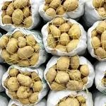 در میانه جنگ، وضعیت سیب‌زمینی کاملا جنگی شد!