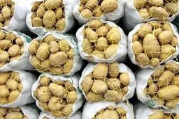 در میانه جنگ، وضعیت سیب‌زمینی کاملا جنگی شد!