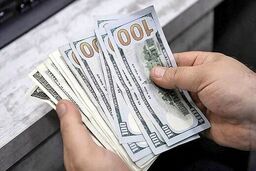 کف قیمت دلار باز هم شکسته شد/ جدول