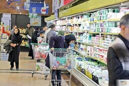 افزایش قیمت مرغ و تخم مرغ در یک سال شگفت‌انگیز شد/ فقط تخم مرغ 342 درصد گران شد