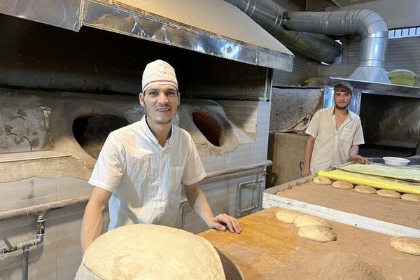 تامین آرد و نان در تهران و استان‌های مسافرپذیر