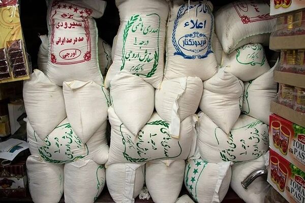 هزینه حمل برنج وارداتی ۸ برابر شد