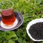 به جای چای، آب بخورید/ قیمت چای به این عدد نجومی رسید
