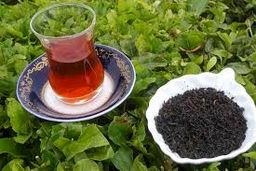 به جای چای، آب بخورید/ قیمت چای به این عدد نجومی رسید