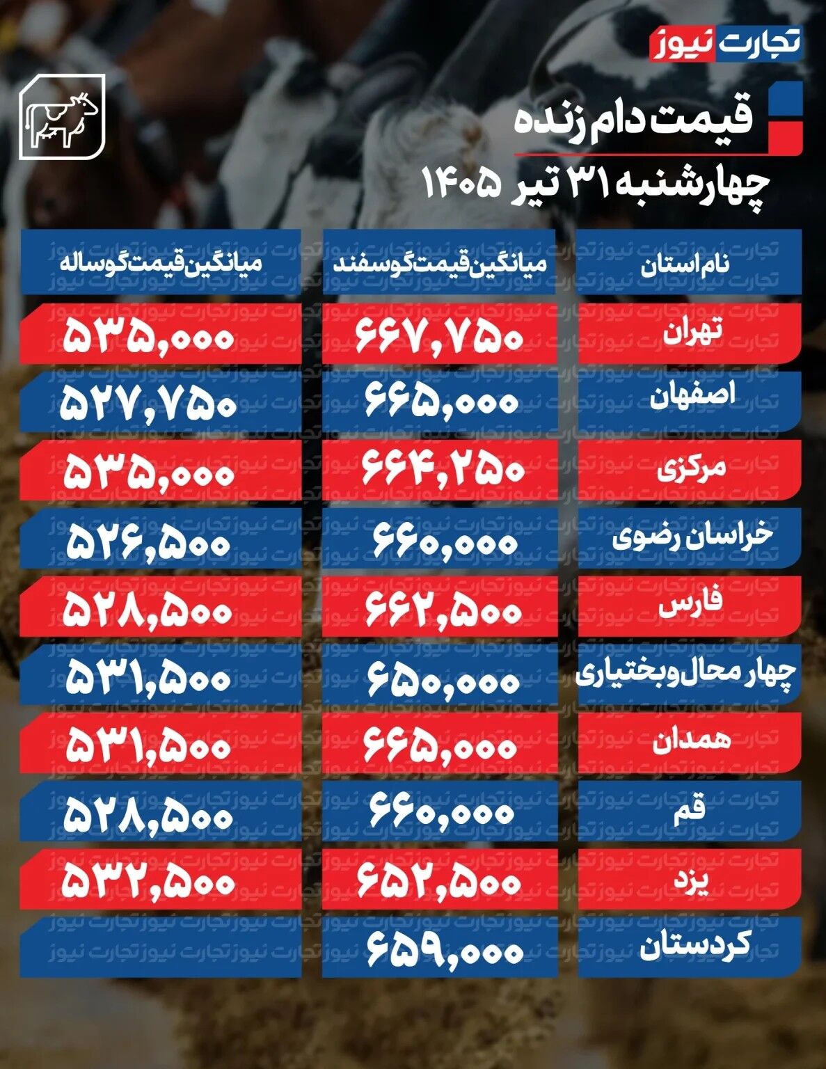 قیمت جدید دام زنده امروز ۳۱ تیر ۱۴۰۵/ ارزان‌ترین گوسفند و گوساله کجا به فروش می‌رود؟ + جدول