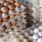 با ۵۰۰ هزار تومان در ماه های گذشته چند شانه تخم مرغ می‌توانستیم بخریم؟/ اینفوگرافی