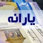یارانه می‌شود، پول دو عدد چیپس!